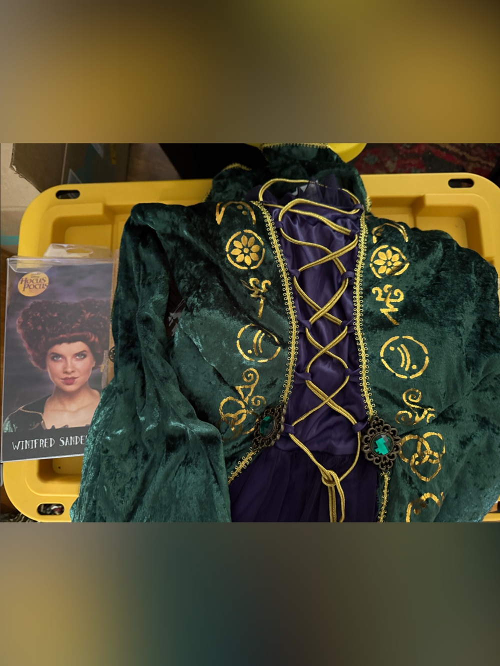 Spirit Halloween costume Winifred Sanderson hocus pocus